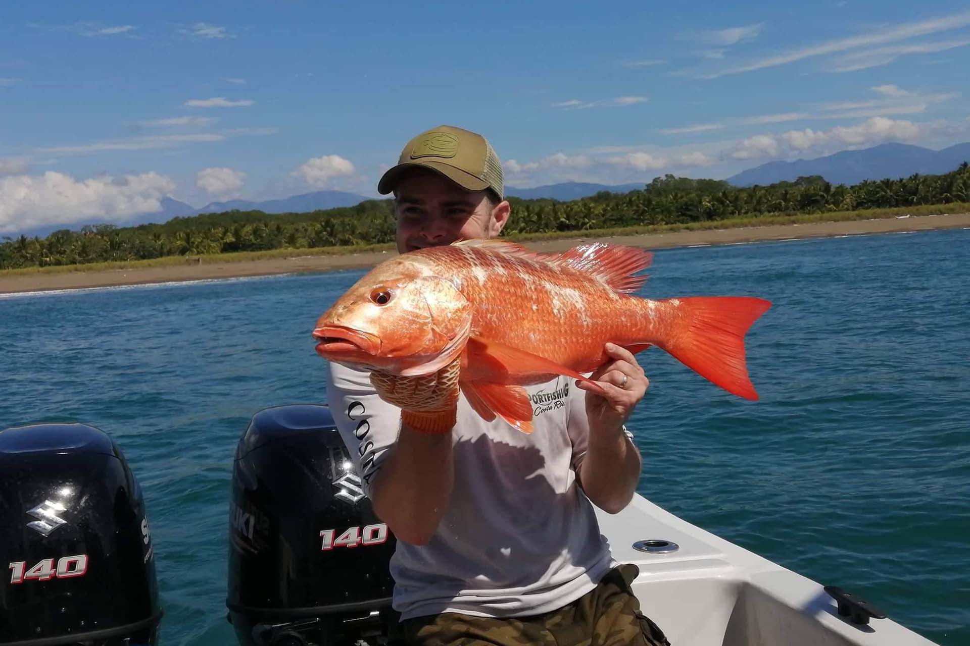 Red Snapper inshore